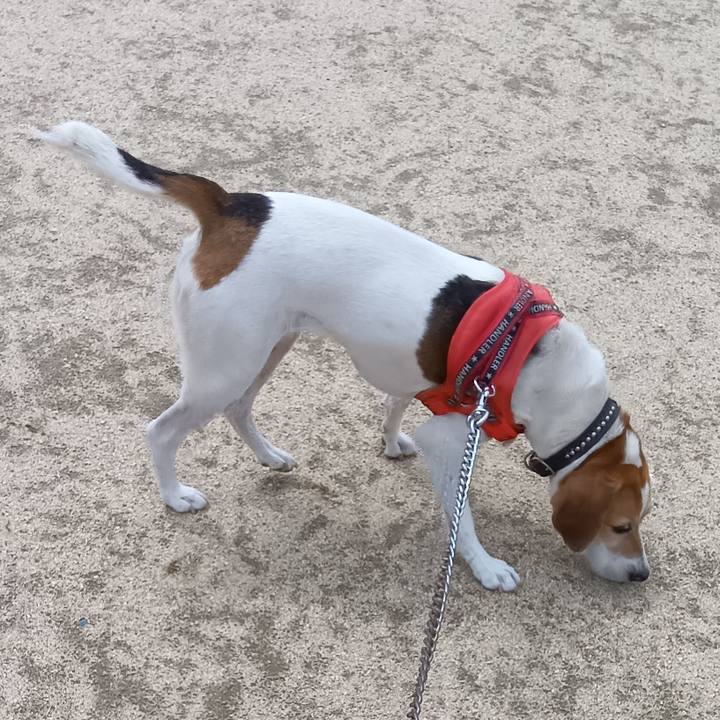 C4abdf83 779e 4bdf a38a 78e5588d2f7e 1724920207544