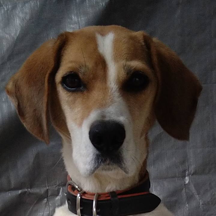 C4ac3ea8 f991 4904 9814 4865db7409a1 1642176638338