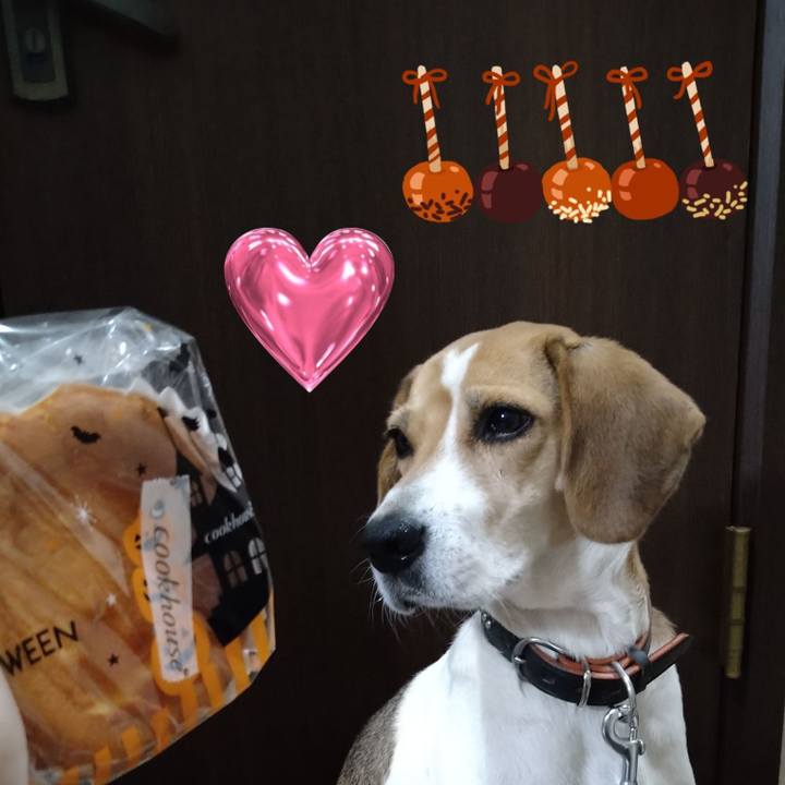 C4ac420b e64c 408d aeb9 69d774dde393 1635579819219