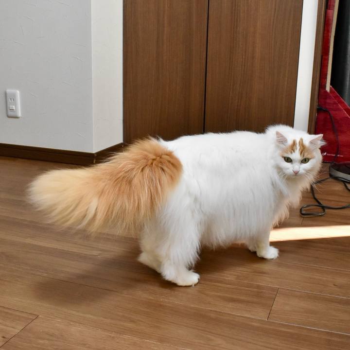 C4ac5f0a 8bb2 48ba 9394 6d41727b06fb 1768793981948