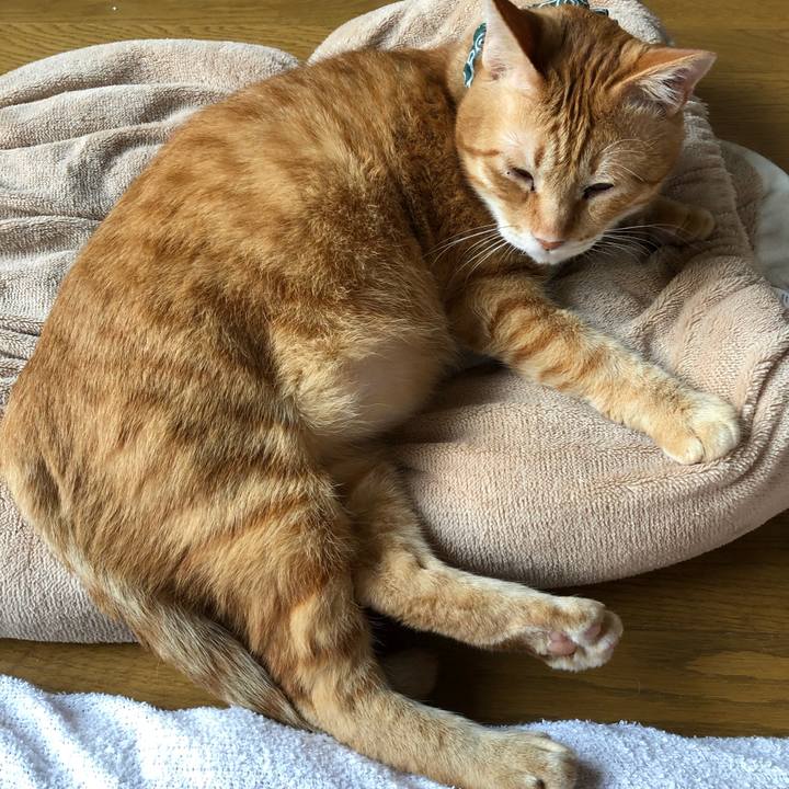 C4ac63a6 0ef6 4aa9 911d e2630268b106 1561151223152