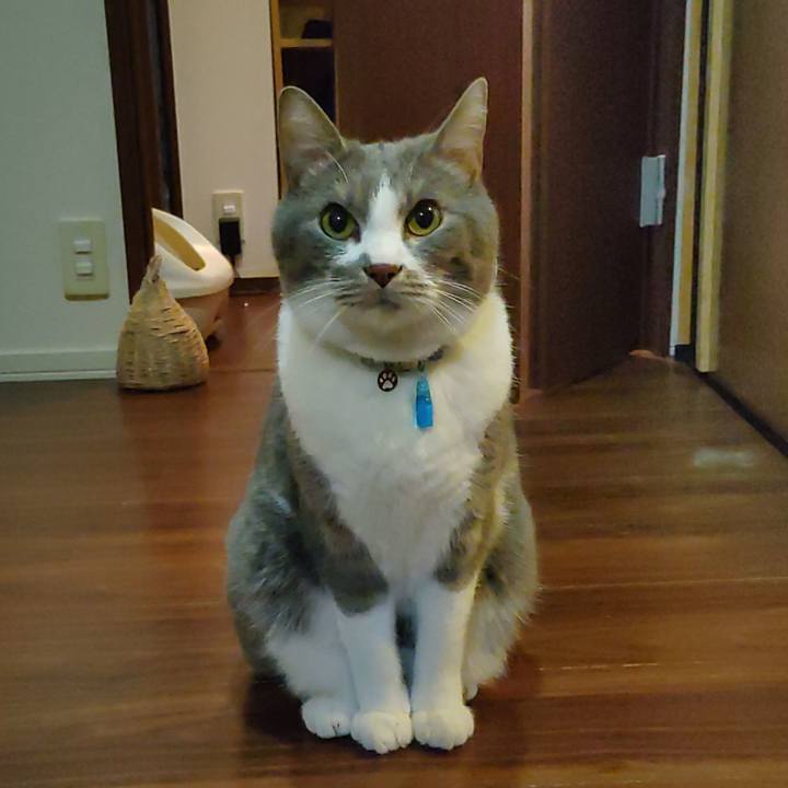 C4ac8197 7d24 4671 88c4 079bedb4d1f4 1709590777260