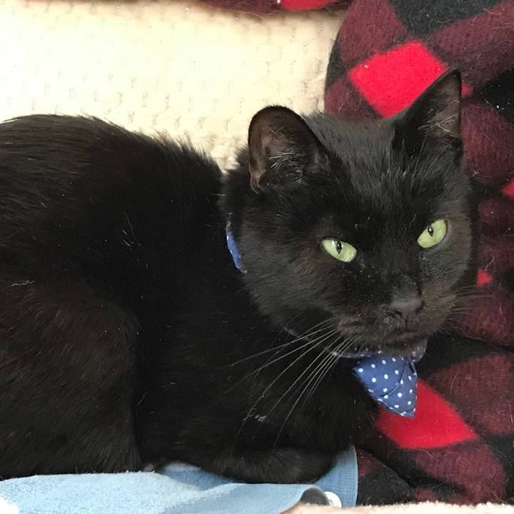 C4ac8b5d 0f8f 4a67 88bf fd63fd56790d 1561249728487