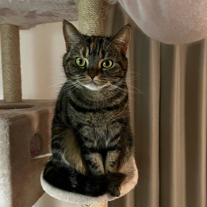 C4acb851 b5b3 4994 a06e b2b54db54299 1734787645842