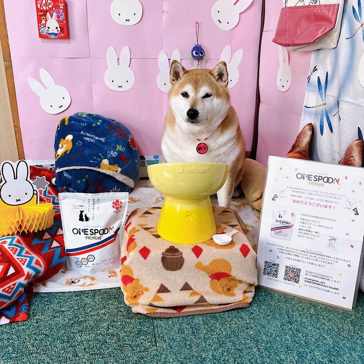 C4ad466c f197 486c 8bd4 150bd4608f6a 1673919723648