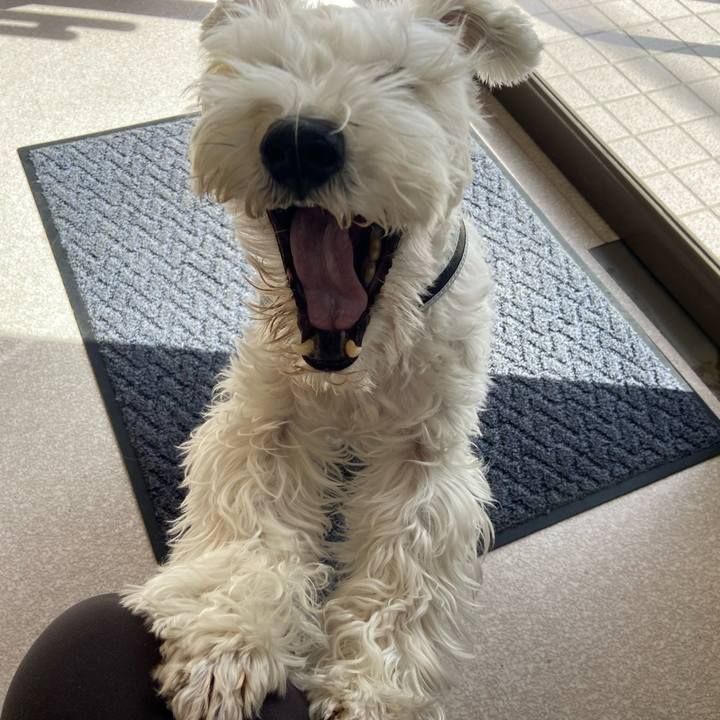 C4ad7855 d811 4139 b09a d8e81b9dc0af 1772236426678