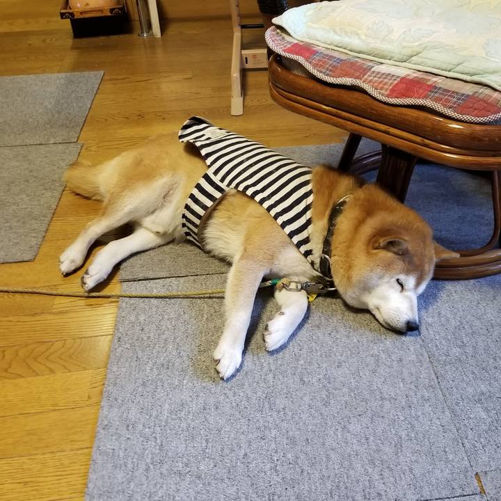 C4ad8285 e167 437a 8c1c 428533715fdc 1642635169440