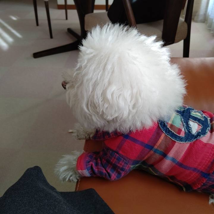 C4ad96f9 73b2 43ce 992f 949fa7727b6d 1616571115369