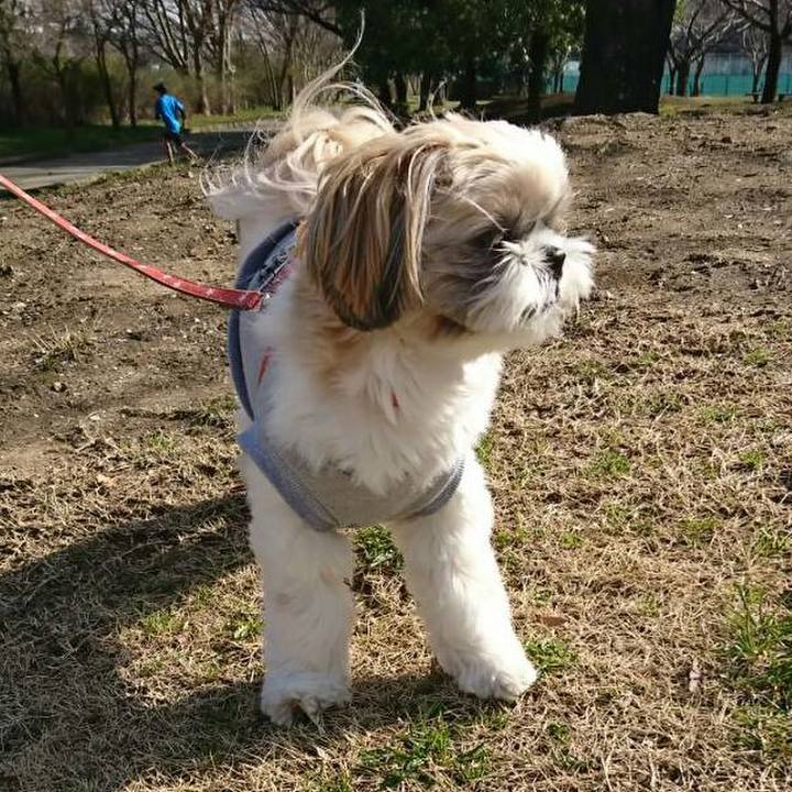 C4adba06 0db9 4e66 b26e 736ba3e17830 1520763585111