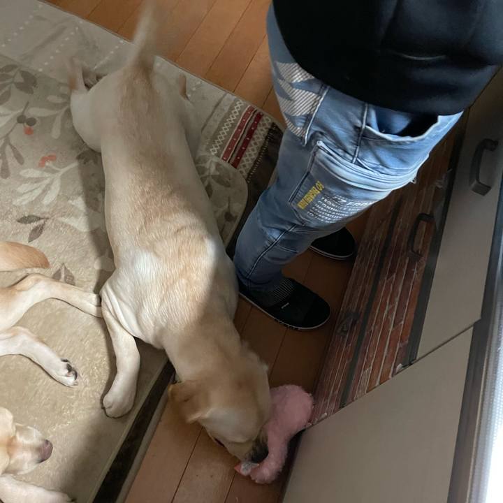 C4ae0c0c 3e83 4ac9 a6dd 368a323c968a 1642716295917