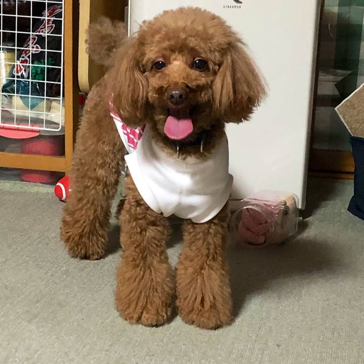 C4ae1d91 1d87 4c66 85a8 208f7cccee2f 1560421383725