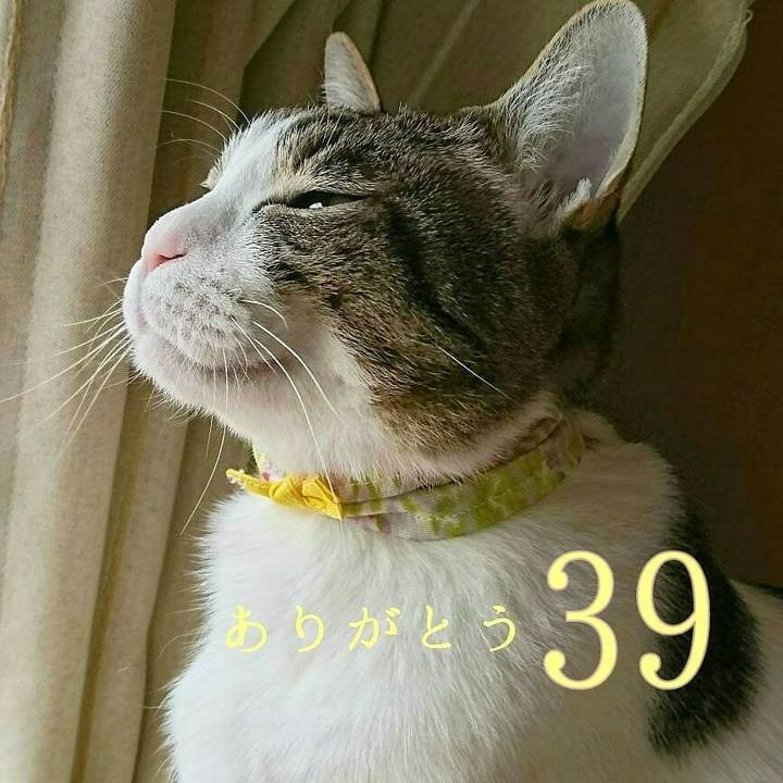 C4ae3dd7 e978 4388 b41d 4d3dde30420a 1552137356213