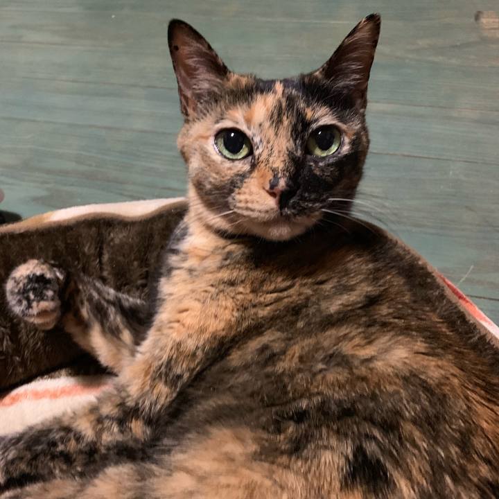 C4ae60a3 0502 44a1 b009 34a0161357a8 1549726534518