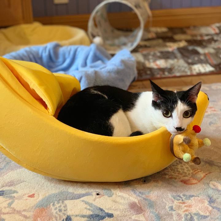 C4aedec3 7abb 459f aad5 45eba040851b 1563320739867