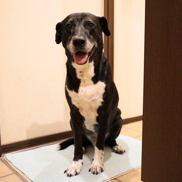 C4aef140 2c53 41ce b42e 164e6b768c55 1759402881287