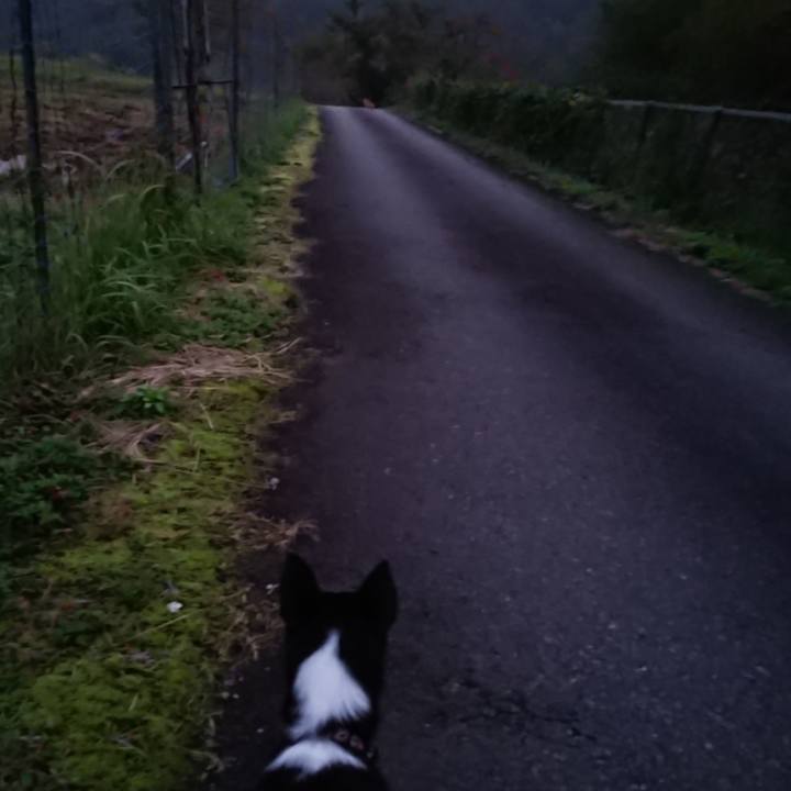 C4af0ace c8ca 410c 90b7 a03d71bf122d 1572346746895