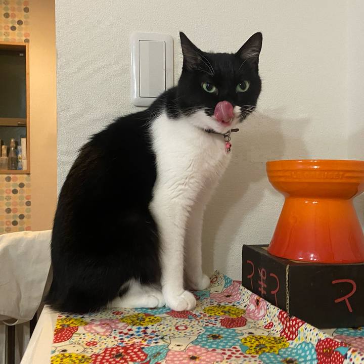 C4af21af b3d5 4c73 bf0c 81d5b3111144 1727861965312