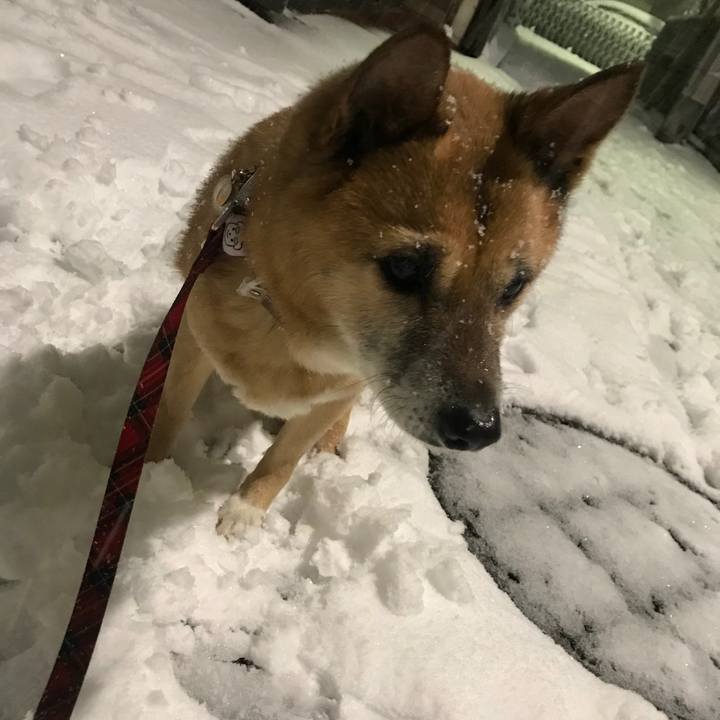 C4af3521 9b95 46f5 8538 945e3dcd2d2f 1516610605966