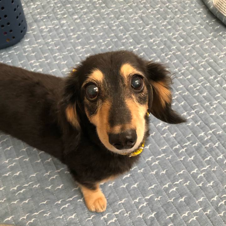 C4af3720 3945 495b a8ba 1d82002b6fb7 1593992120416