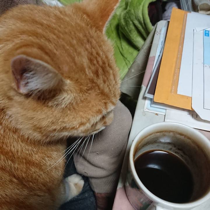 C4af429e df90 49ca 9bdc 6378ad3a3bd4 1587674778369