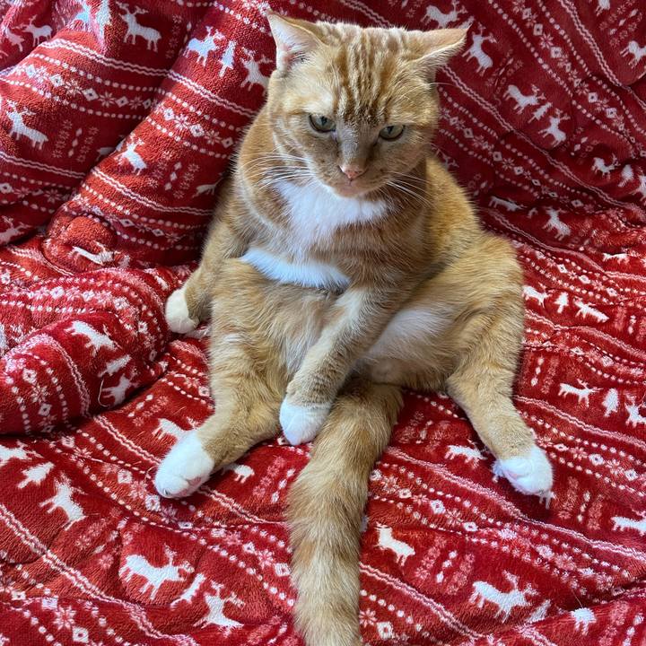 C4afbfc7 8f8f 470d b848 5f83a7b33edd 1640846162778