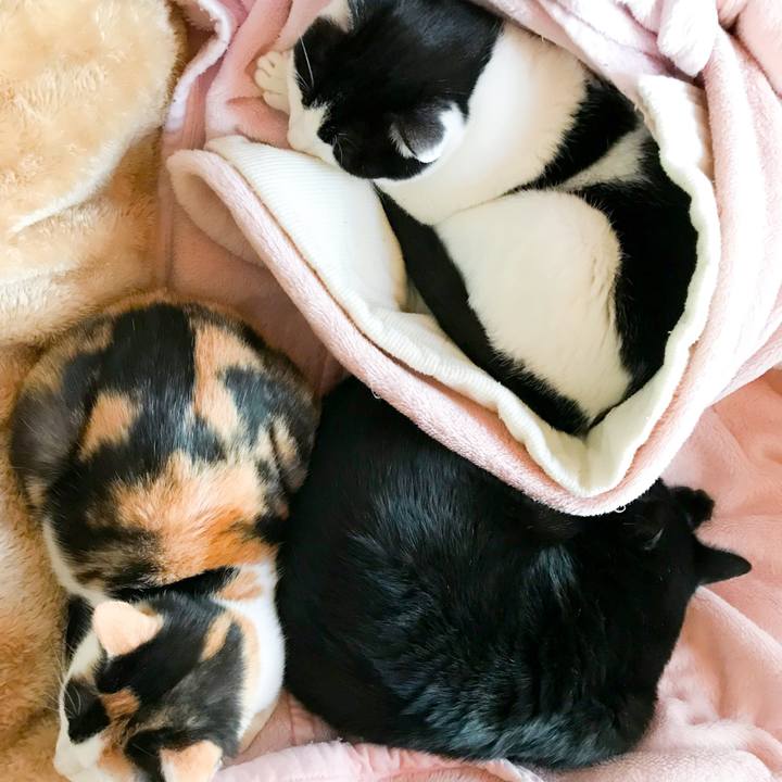 C4afc524 605d 4c4f 9bcb 2d3970ccf672 1514816833073