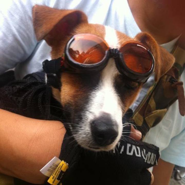 C4afd864 c324 4b24 9467 94239dc9fe60 1681625320832