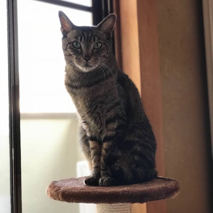 C4affa04 013a 494a 9b9b c7429e6429ec 1525567836340