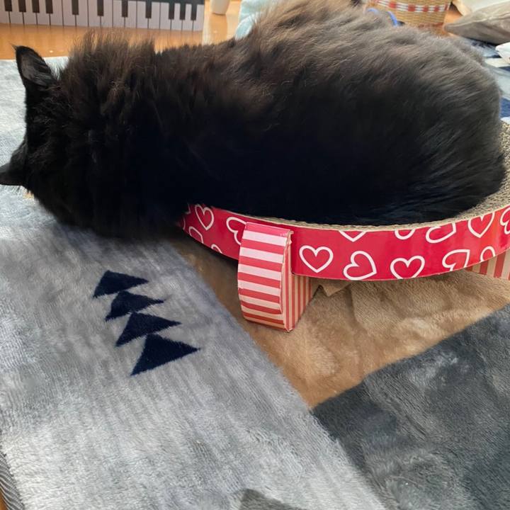 C4b007ef 24d1 46eb 8849 cc9ed5620675 1579070836773