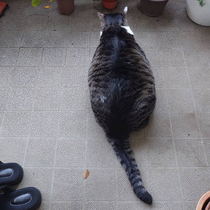 C4b02ee8 ce09 498d a3a7 f97e6d738dbf 1629159213213