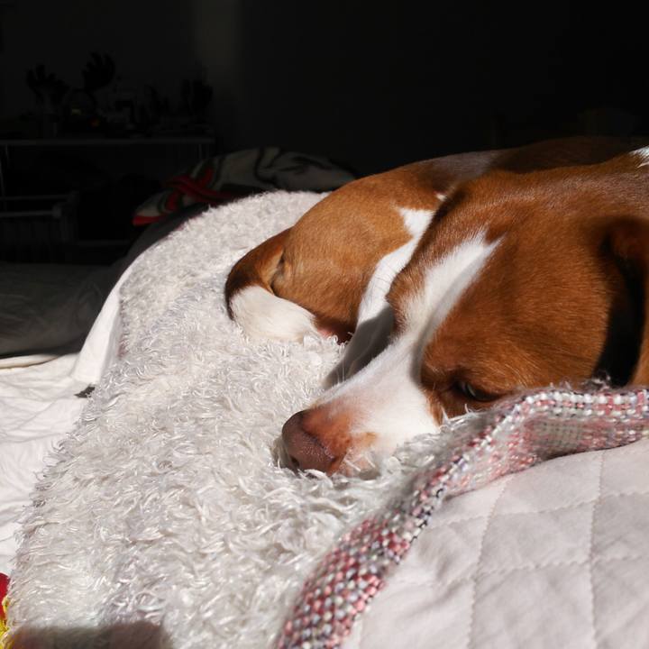 C4b0385b cbda 4439 89eb c8f787f4fc1d 1581388946986