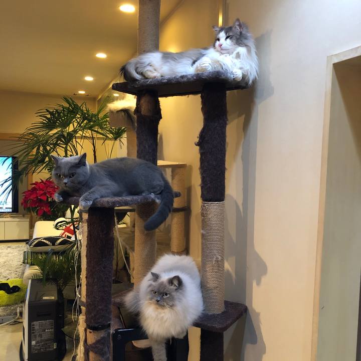 C4b044cd a0d4 4700 a835 26980c59aab0 1548327199168