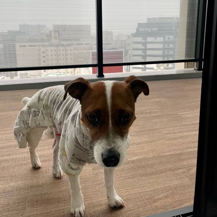 C4b0554d cf4d 4288 bb22 0265884d3ba7 1644445923336