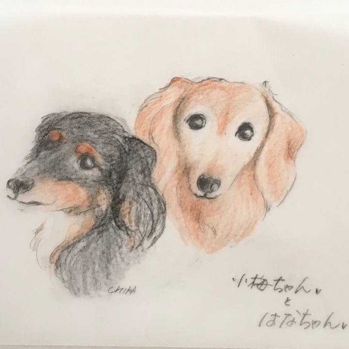 C4b06886 de19 4ecf 9717 7acaf9d11325 1568256413731