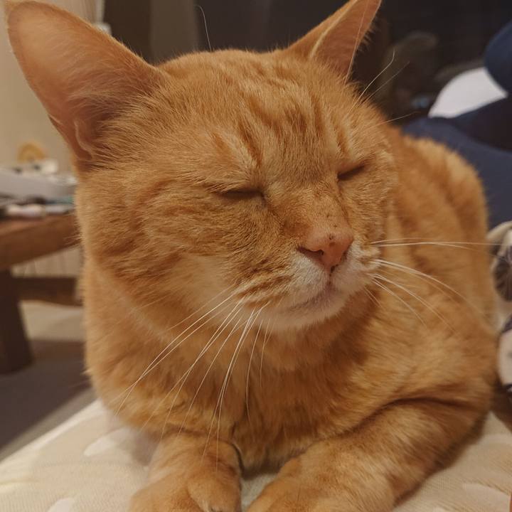 C4b07fa2 9ae2 49ca 9b87 54dd085113a2 1621647437541