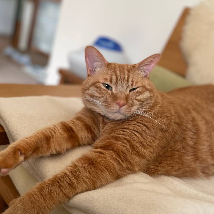 C4b0b375 8907 4ece a5d1 1191c77bf3df 1647822831333