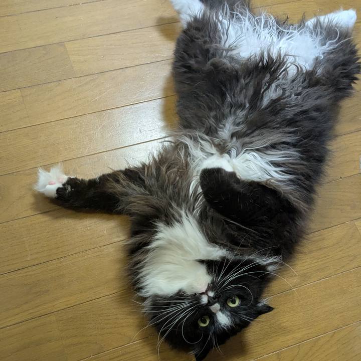 C4b0df8c 6673 44b2 845d bec0ff200823 1750851759837