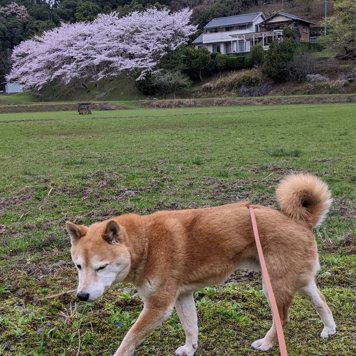 C4b0e504 a238 4538 ab66 a2d766e2b78b 1712570960478