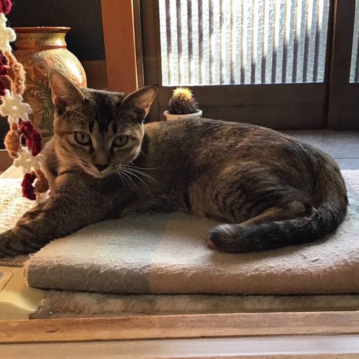 C4b0f7c9 c1d2 443b bf7d 7693de734512 1573804507275