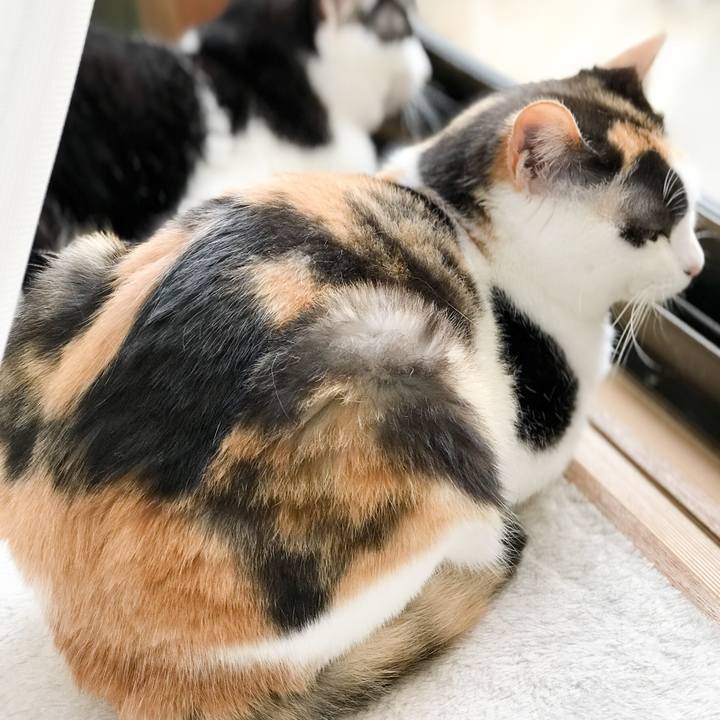 C4b10c94 5744 4588 a112 d3660786a499 1528769945734