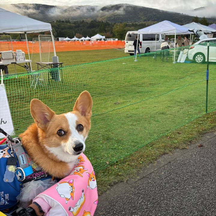 C4b12192 9bd6 4862 a801 276a6f1f4b66 1760219442151