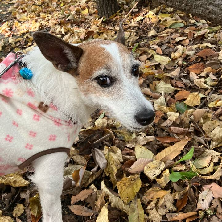 C4b16d43 1499 4e2f 9a76 8410b6b07ae6 1668467959820