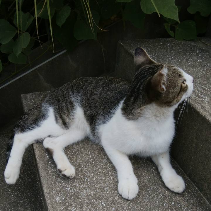 C4b17223 16dd 4dcb 8136 46983fb6c1dd 1534159754619