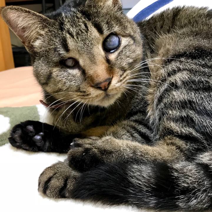 C4b17d85 6adb 466e ade2 228e1ec94899 1516755730378