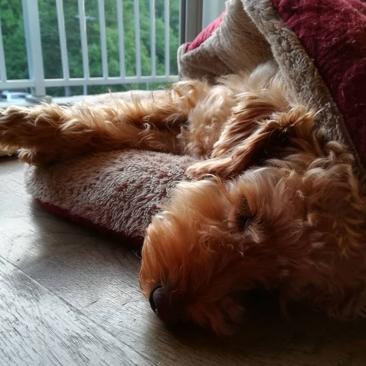 C4b1bf3e 18d3 4bf5 9610 07399f1d340b 1560073269098