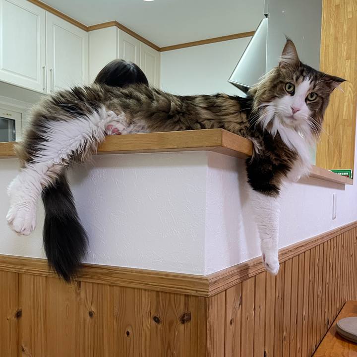 C4b1cea7 9478 488f 9ae6 3ac06bd6a087 1672133568411