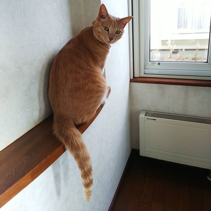 C4b1d01b 0103 4bc7 8be1 365e760b254a 1604357595563