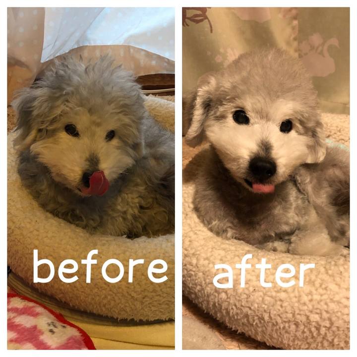 C4b1df9f 4a74 43c9 9489 57397555db69 1615995030536