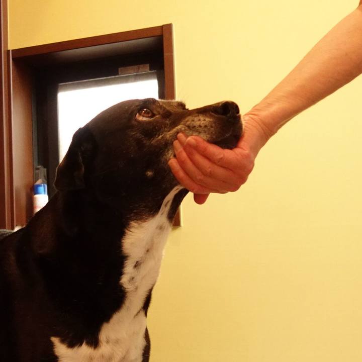 C4b2b501 1780 45cd a9a4 630bfb7cf058 1747527582020