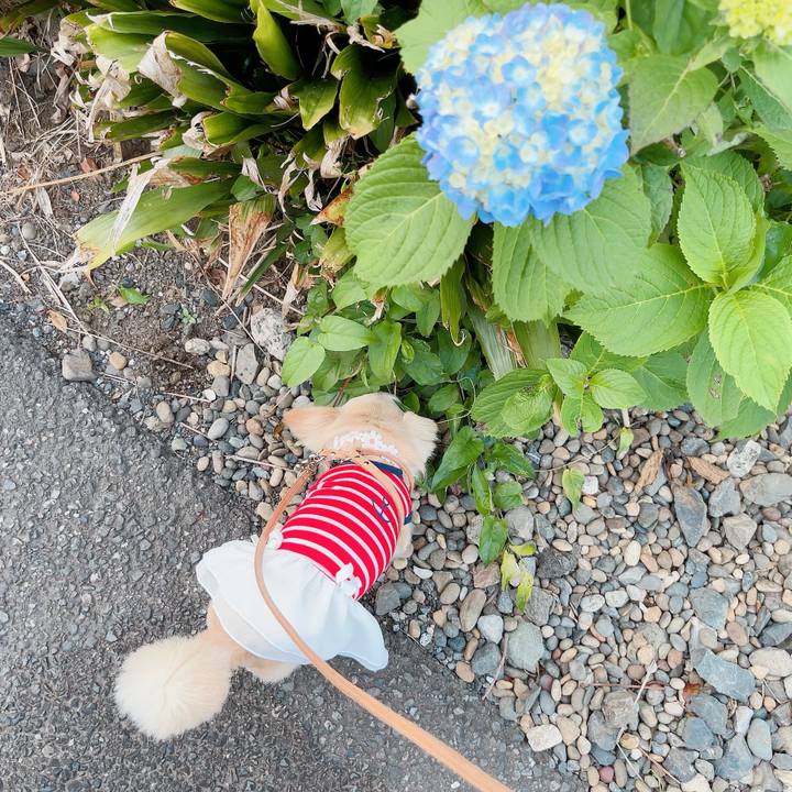 C4b2d89a f9fe 485d 84d6 599de3565218 1716378758034